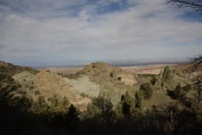 DSC_6258 (Large).JPG